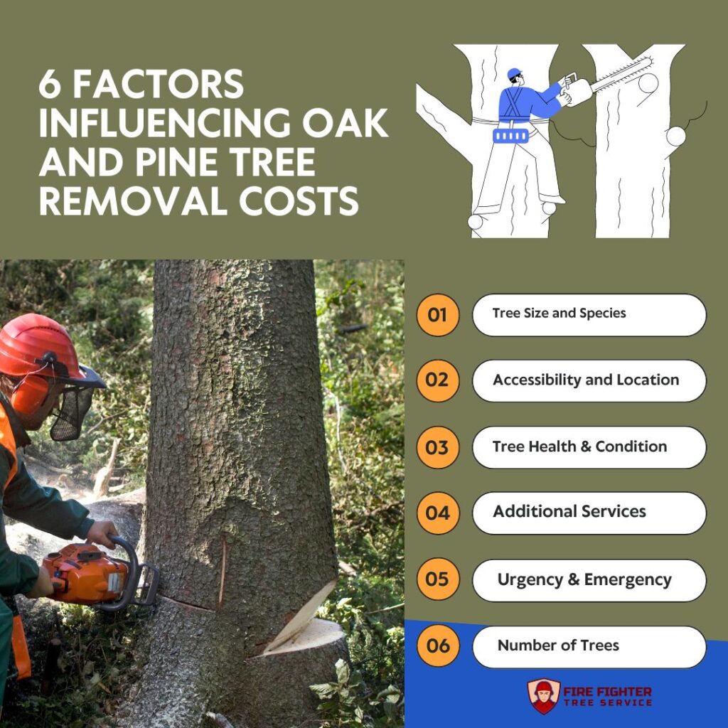 Factors Influencing Oak and Pine Tree Removal Costs