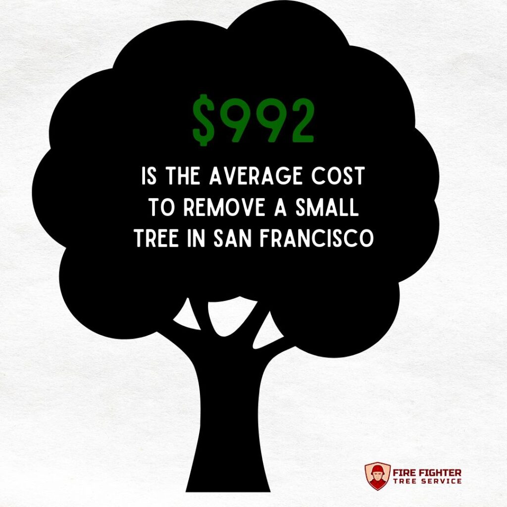 Average cost to remove a small tree in San Francisco