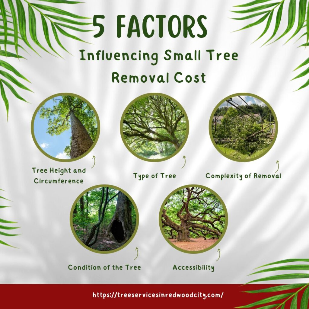 Factors Influencing Small Tree Removal Cost