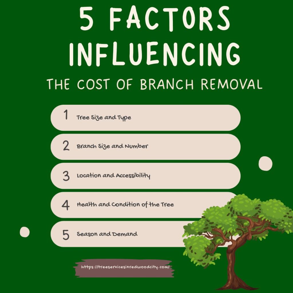 Factors Influencing the Cost of Tree Branch Removal