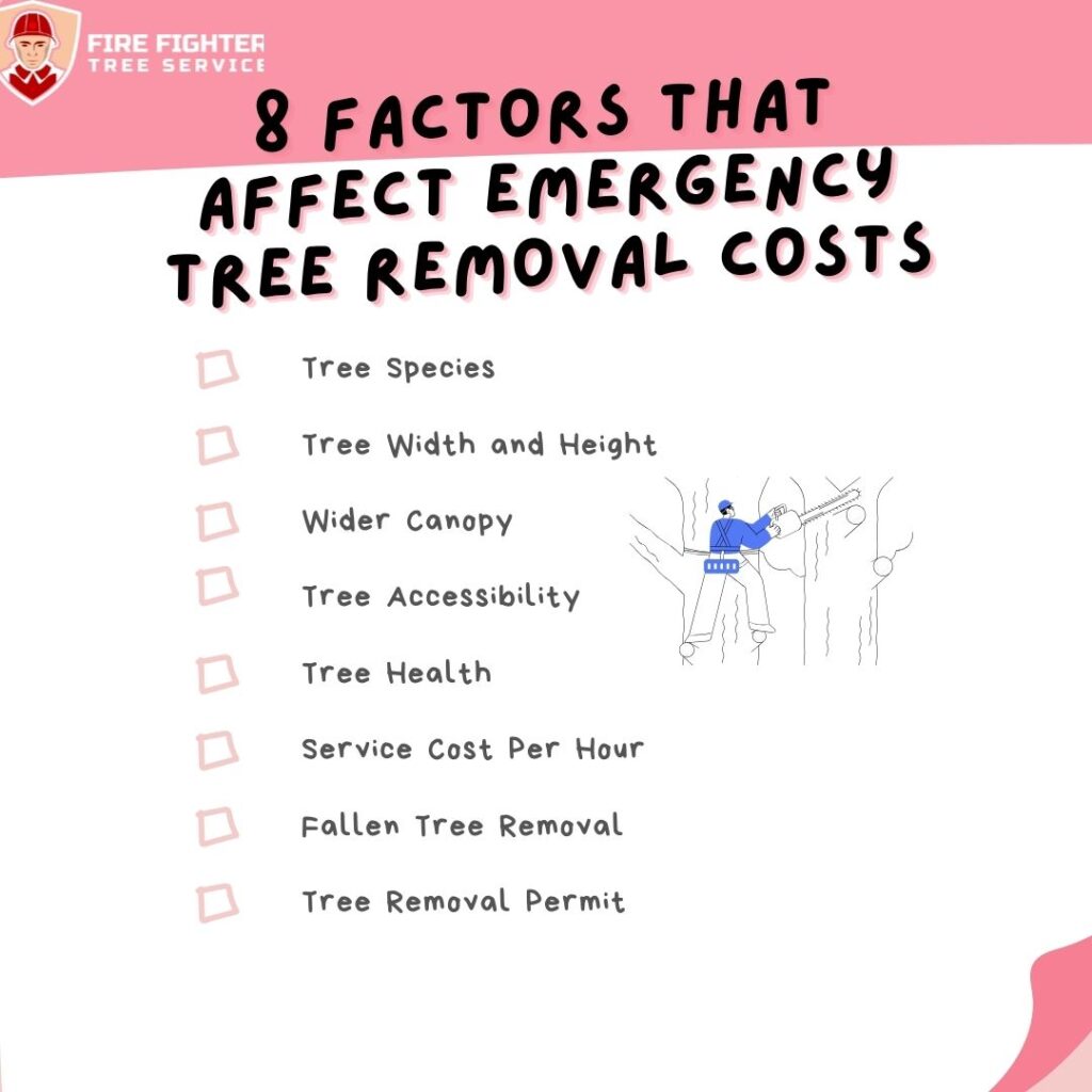 Factors That Affect Emergency Tree Removal Cost