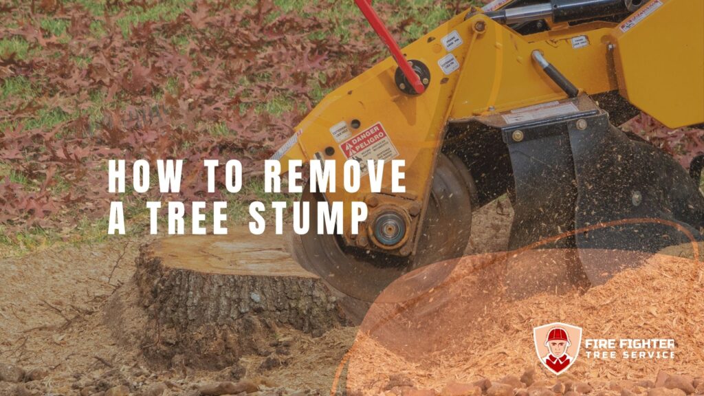 How to Remove a Tree Stump