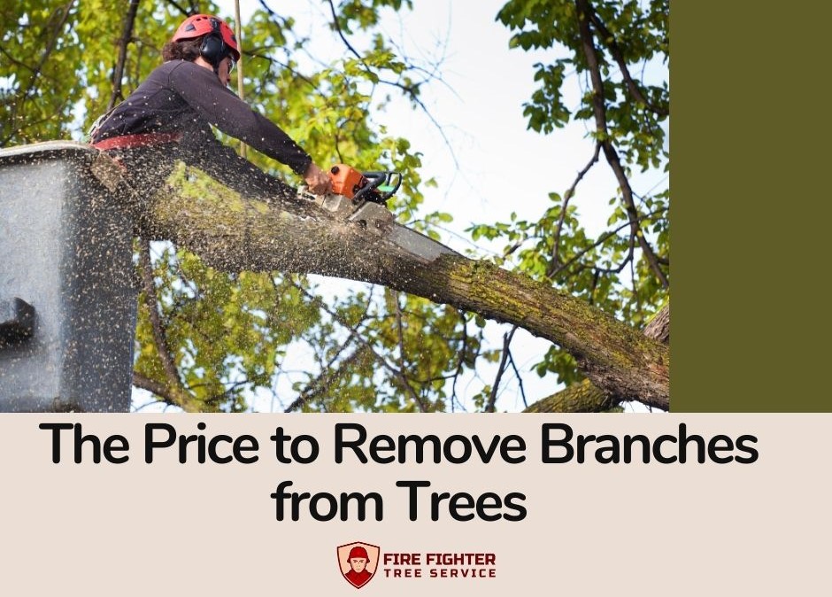 The Price to Remove Branches from Trees