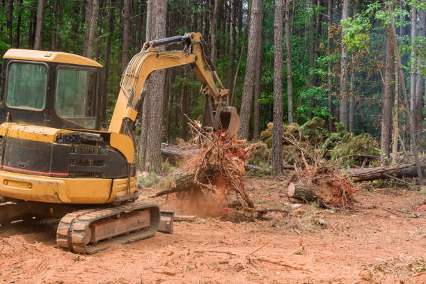 Tractor stump removal