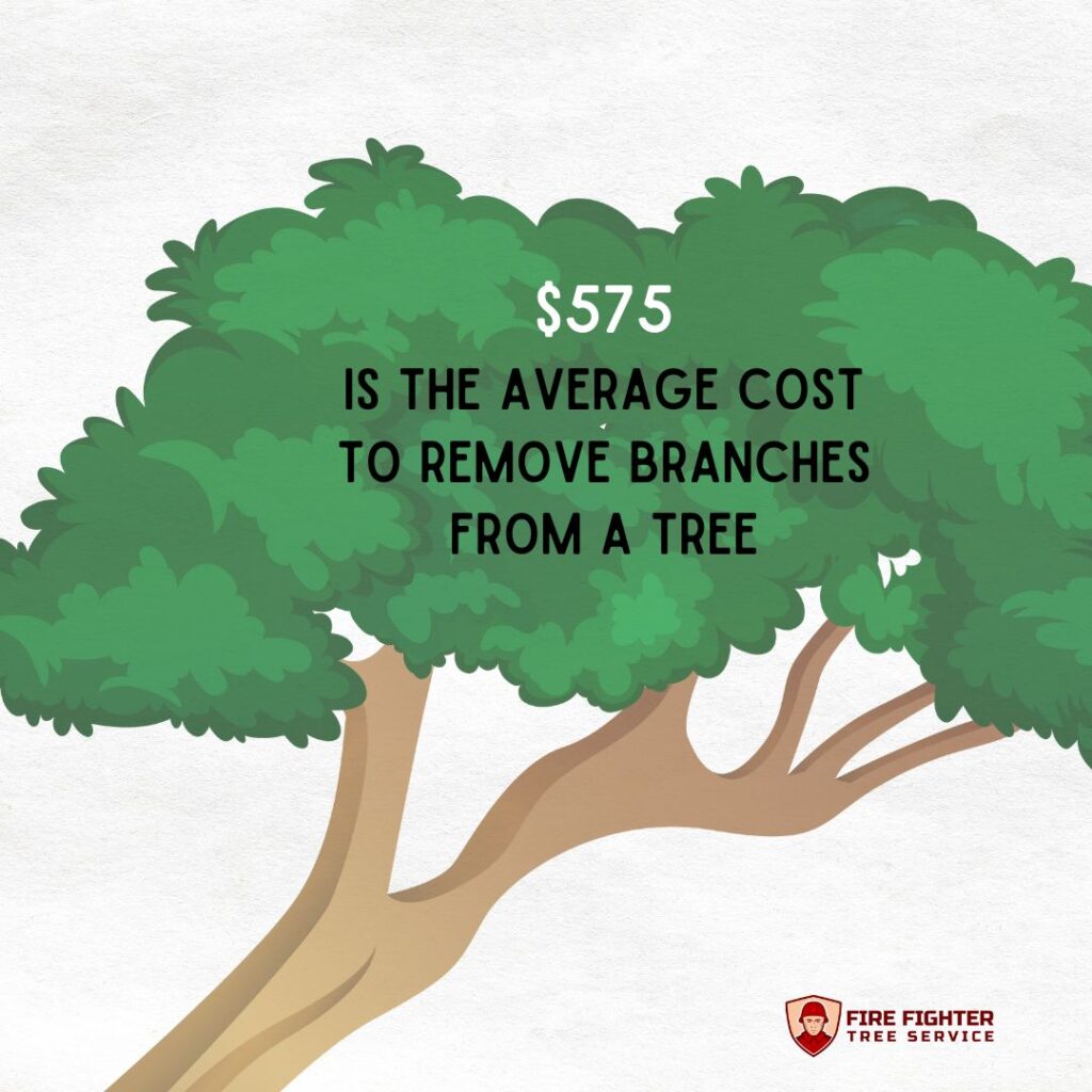 average cost to remove branches from a tree