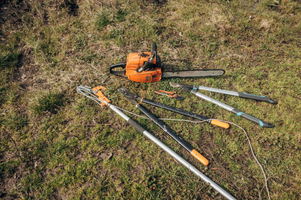 pruning tools