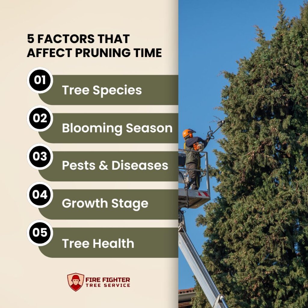 5 Factors That Affect Pruning Time