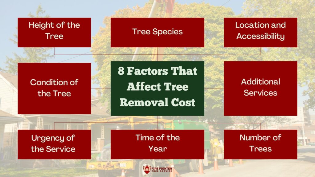 8 Factors That Affect Tree Removal Cost