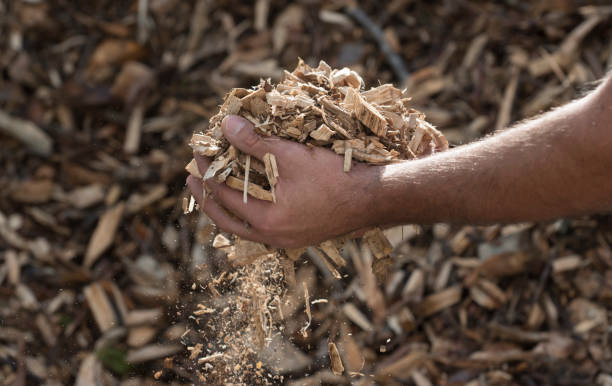 wood chipping