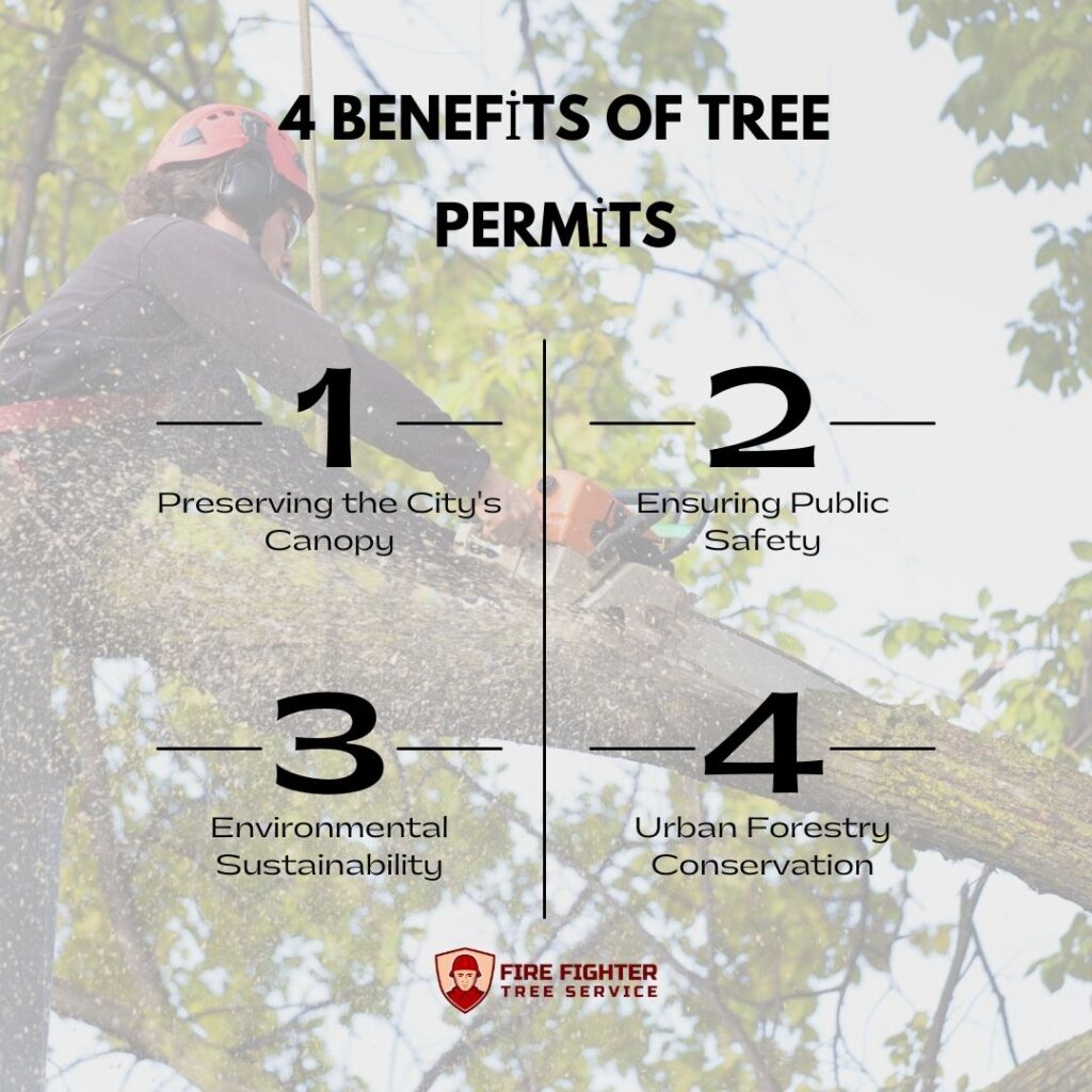 4 Benefits of Tree Permits