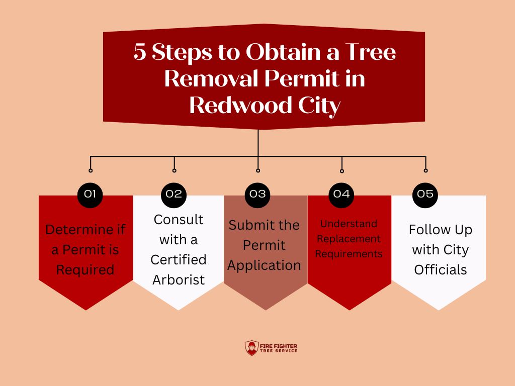 5 Steps to Obtain a Tree Removal Permit in Redwood City