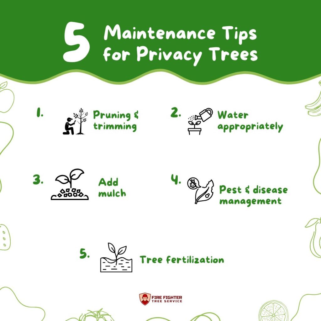 Maintenance Tips for Privacy Trees