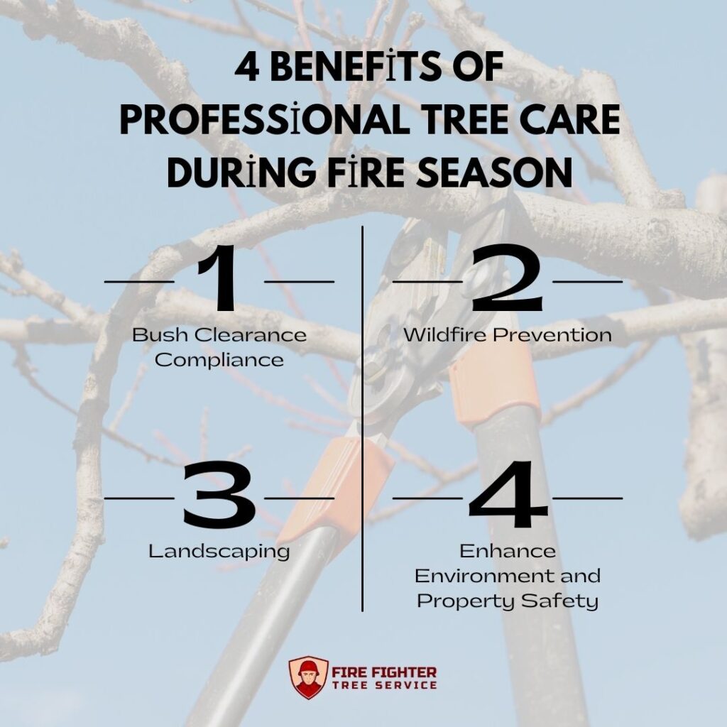 4 Benefits of Professional Tree Care During Fire Season