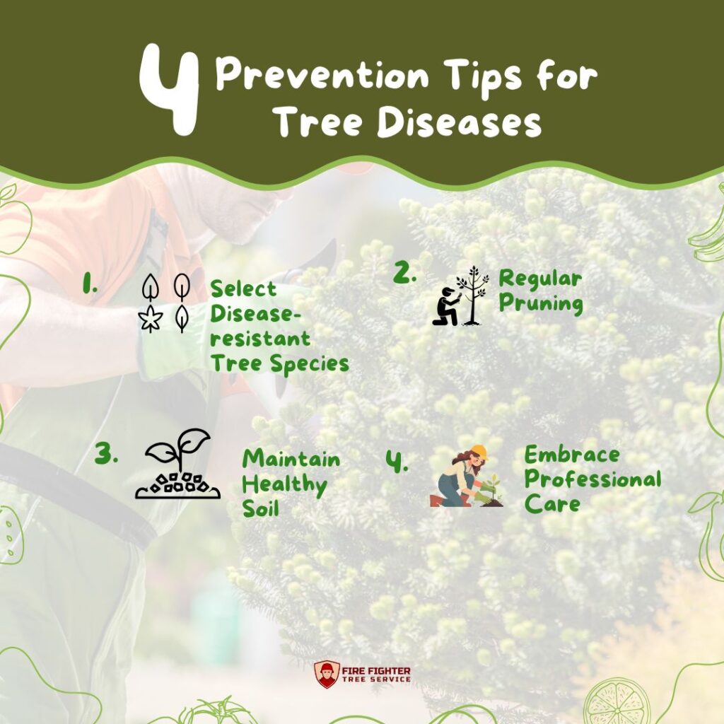 Prevention Tips for Tree Diseases