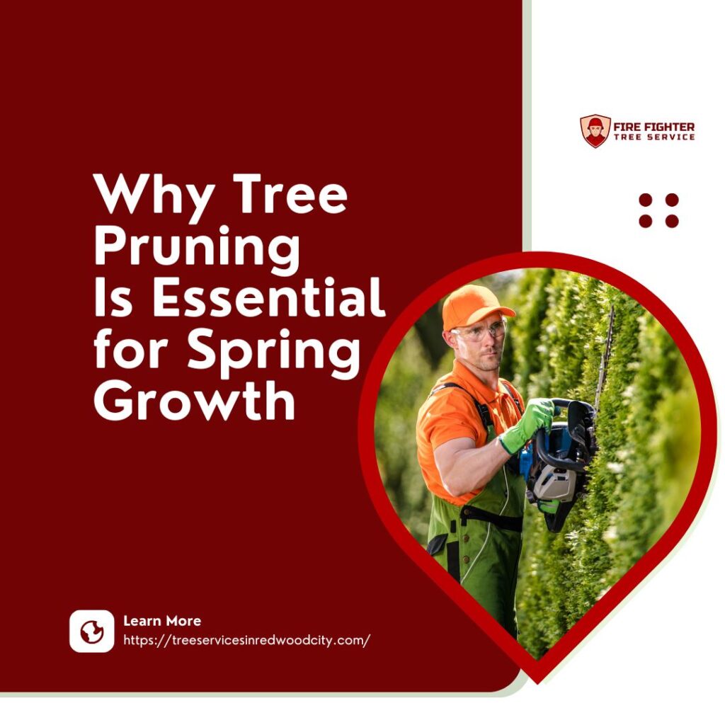 Why Tree Pruning Is Essential for Spring Growth